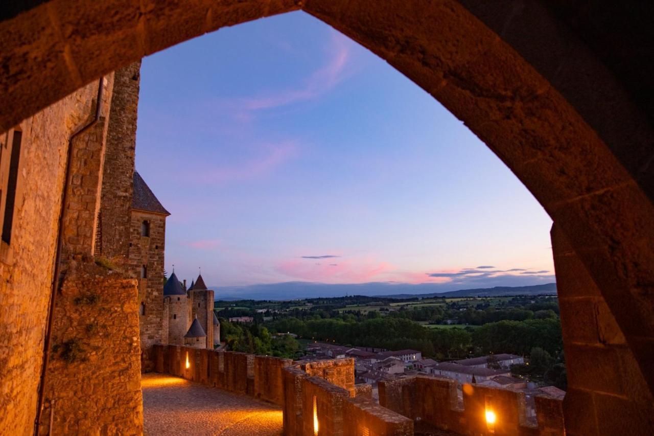 Tout Confort ! Calme, Climatisation, Piscine, Parking Gratuit, Grande Terrasse, Netflix, Wifi Carcassonne Bagian luar foto