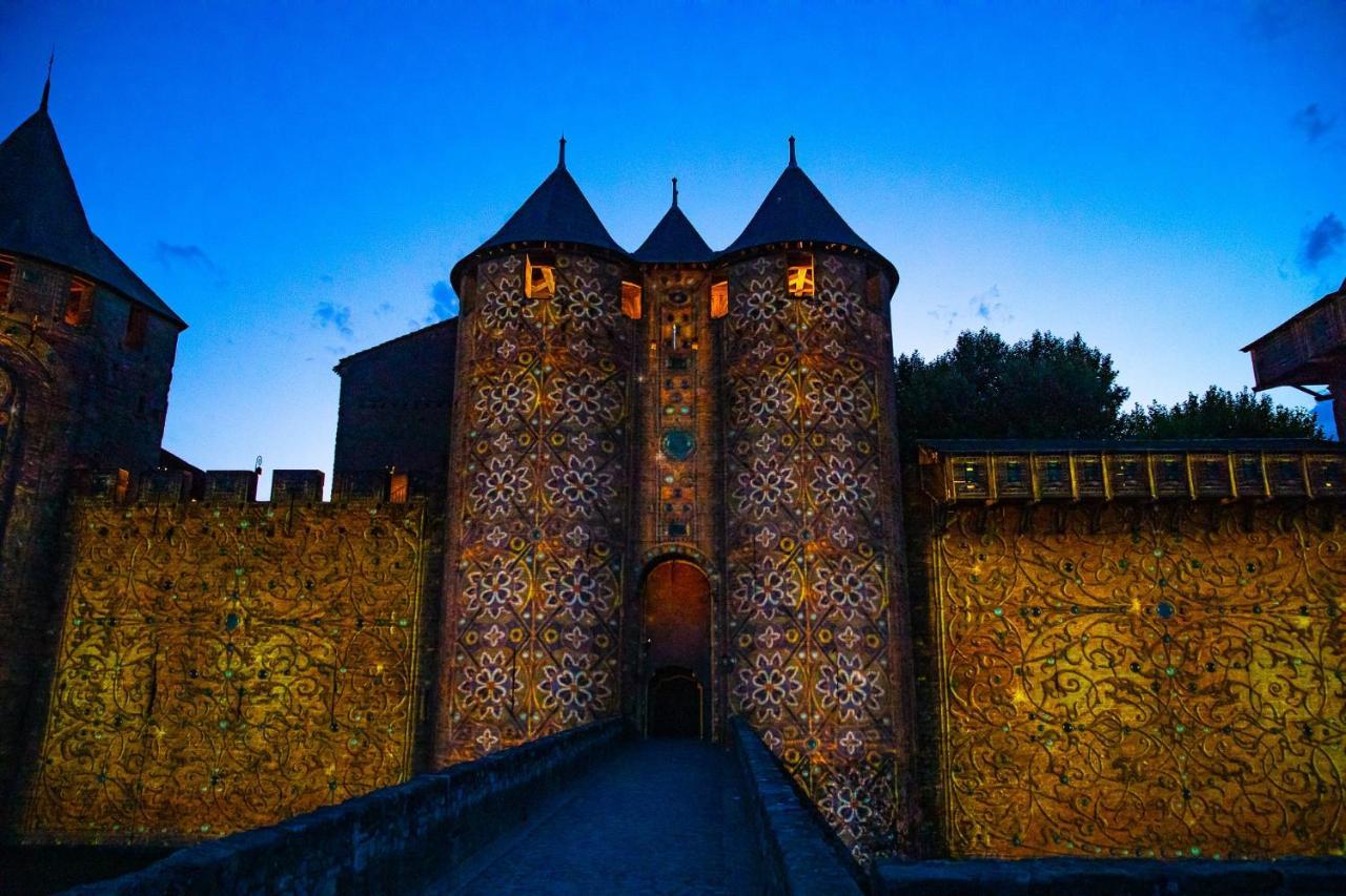 Tout Confort ! Calme, Climatisation, Piscine, Parking Gratuit, Grande Terrasse, Netflix, Wifi Carcassonne Bagian luar foto