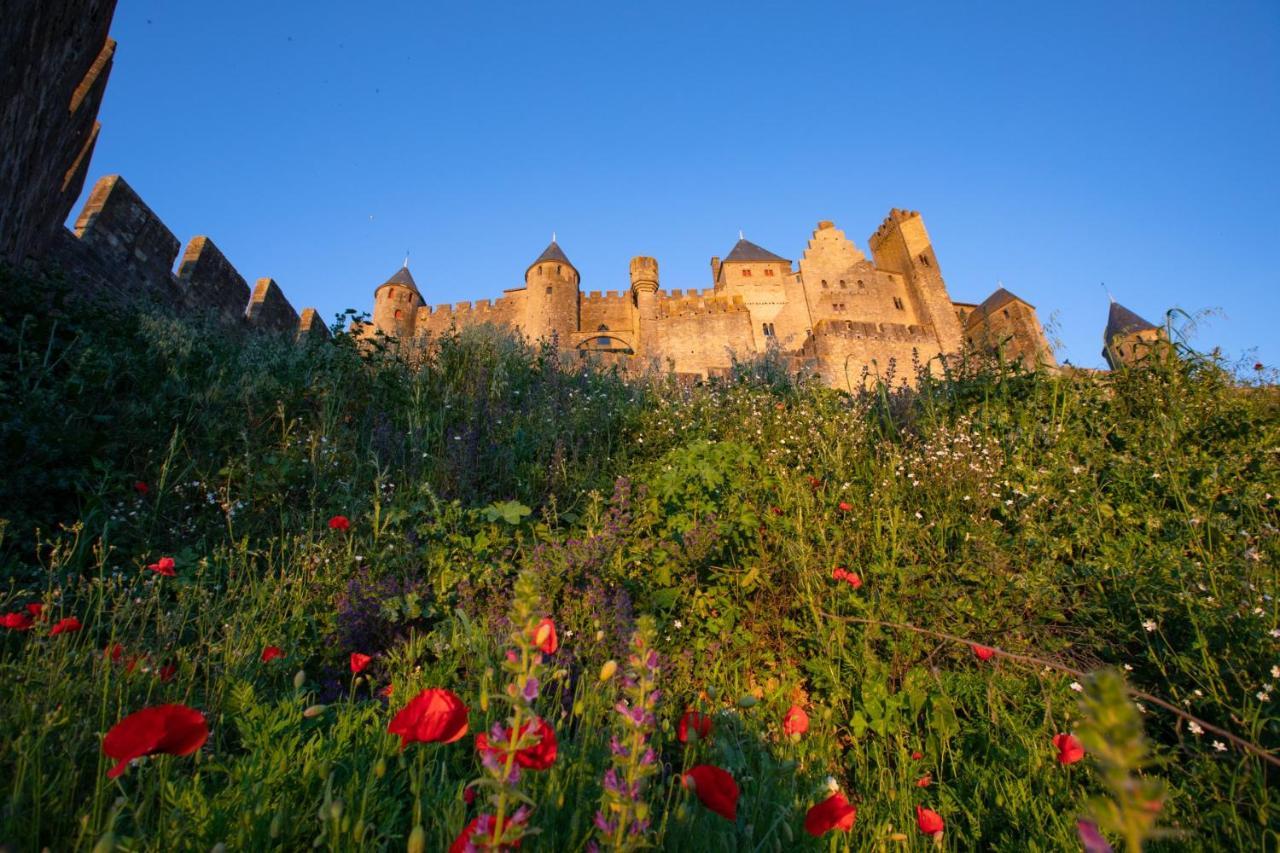 Tout Confort ! Calme, Climatisation, Piscine, Parking Gratuit, Grande Terrasse, Netflix, Wifi Carcassonne Bagian luar foto