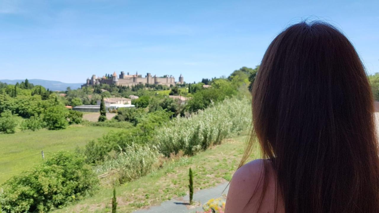 Tout Confort ! Calme, Climatisation, Piscine, Parking Gratuit, Grande Terrasse, Netflix, Wifi Carcassonne Bagian luar foto