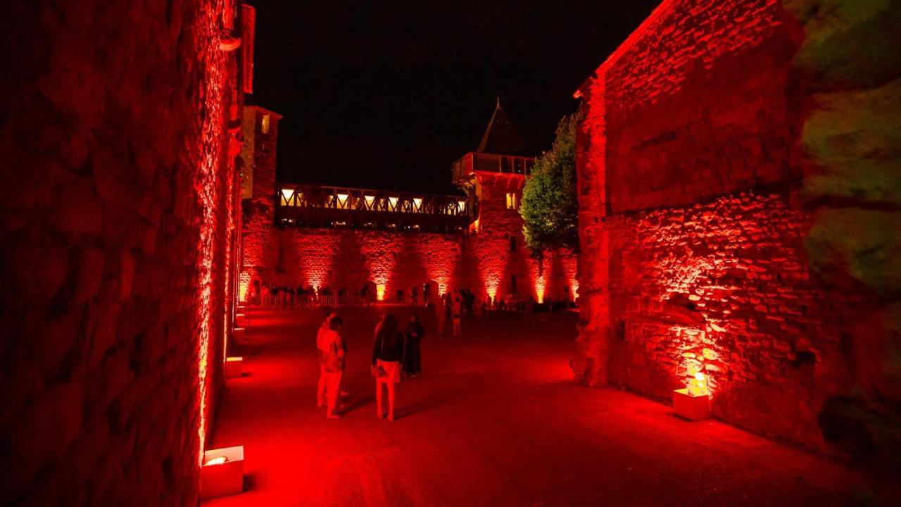 Tout Confort ! Calme, Climatisation, Piscine, Parking Gratuit, Grande Terrasse, Netflix, Wifi Carcassonne Bagian luar foto